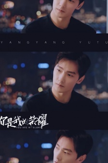 Yang Yang you are my glory mosaic mobile wallpaper