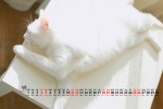 2021年9月可爱动物猫咪桌面日历壁纸