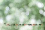 2022年4月绿色风景自然桌面日历壁纸
