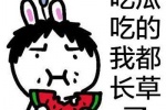 夏季吃西瓜的可愛表情包圖片