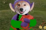 Shiba Inu version of New Journey to the West funny emoticon pictures