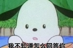 我不知道怎么回答你 因为我只是一只小狗狗