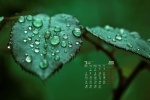 March 2022 HD Eye Protection Desktop Calendar Wallpaper
