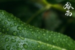 Twenty-four solar terms Grain Rain pictures desktop wallpaper