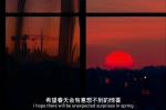 希望春天会有意想不到的惊喜