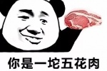 你是一坨五花肉又污又花又多肉