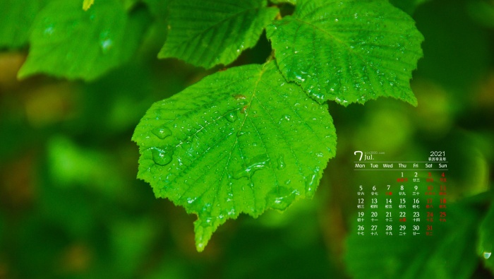 July 2021 Desktop Calendar Wallpapers That Are Good for Your Eyes