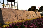 Nanjing Agricultural University campus scenery pictures