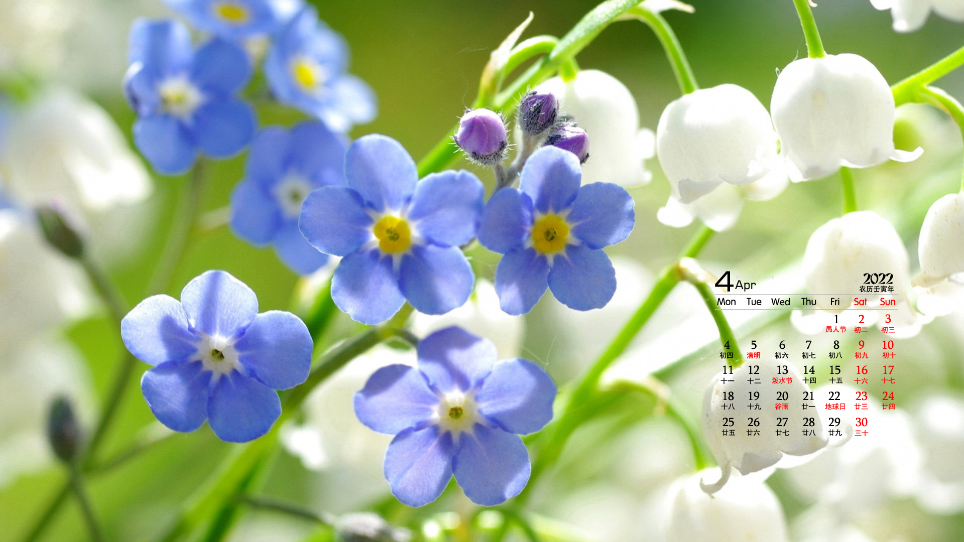 2022年4月素净淡雅花卉植物日历壁纸