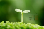 April 2021 Eyesight Protecting Green Fresh Desktop Calendar Wallpaper