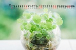 August 2021 green leaves eye protection fresh desktop calendar wallpaper