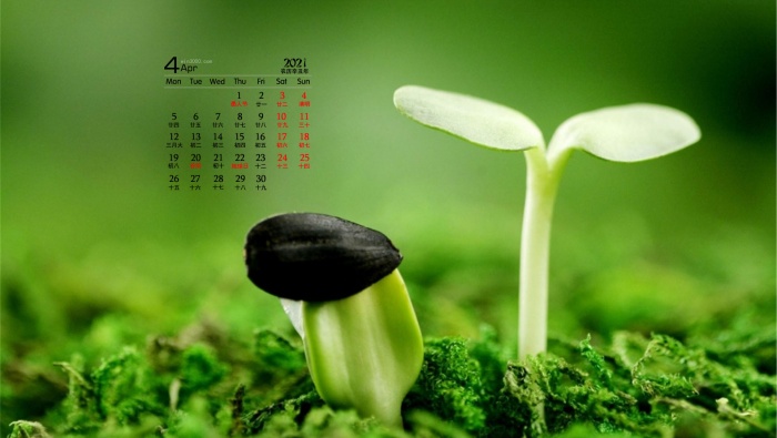 April 2021 Eyesight Protecting Green Fresh Desktop Calendar Wallpaper