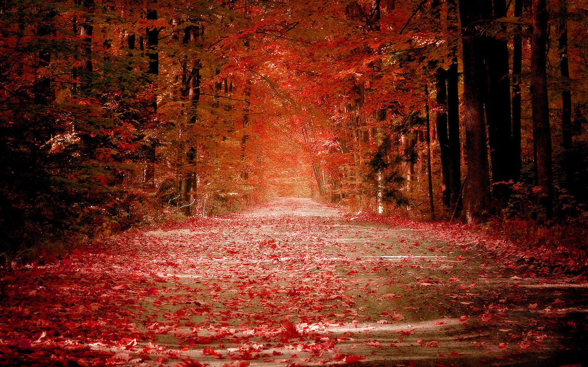 秋分时节迷人景色唯美桌面壁纸