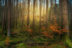壮观的大自然风景图片摄影壁纸 第一辑