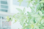 2022年1月綠色主題風景日曆壁紙