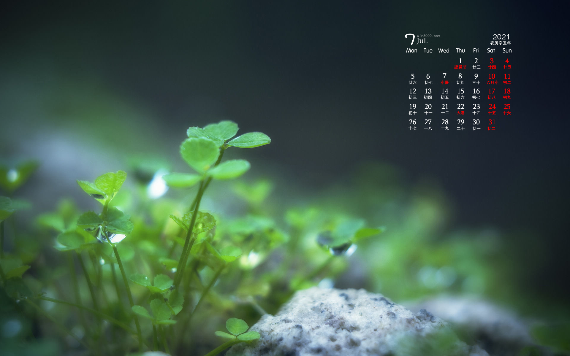 2021年7月翠绿色的树叶水滴桌面日历壁纸