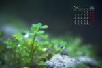 July 2021 emerald green leaves water drops desktop calendar wallpaper