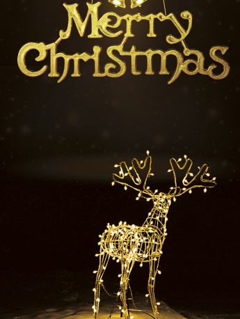 圣诞麋鹿图片高清手机壁纸