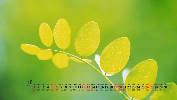 2021年6月护眼绿色桌面日历壁纸