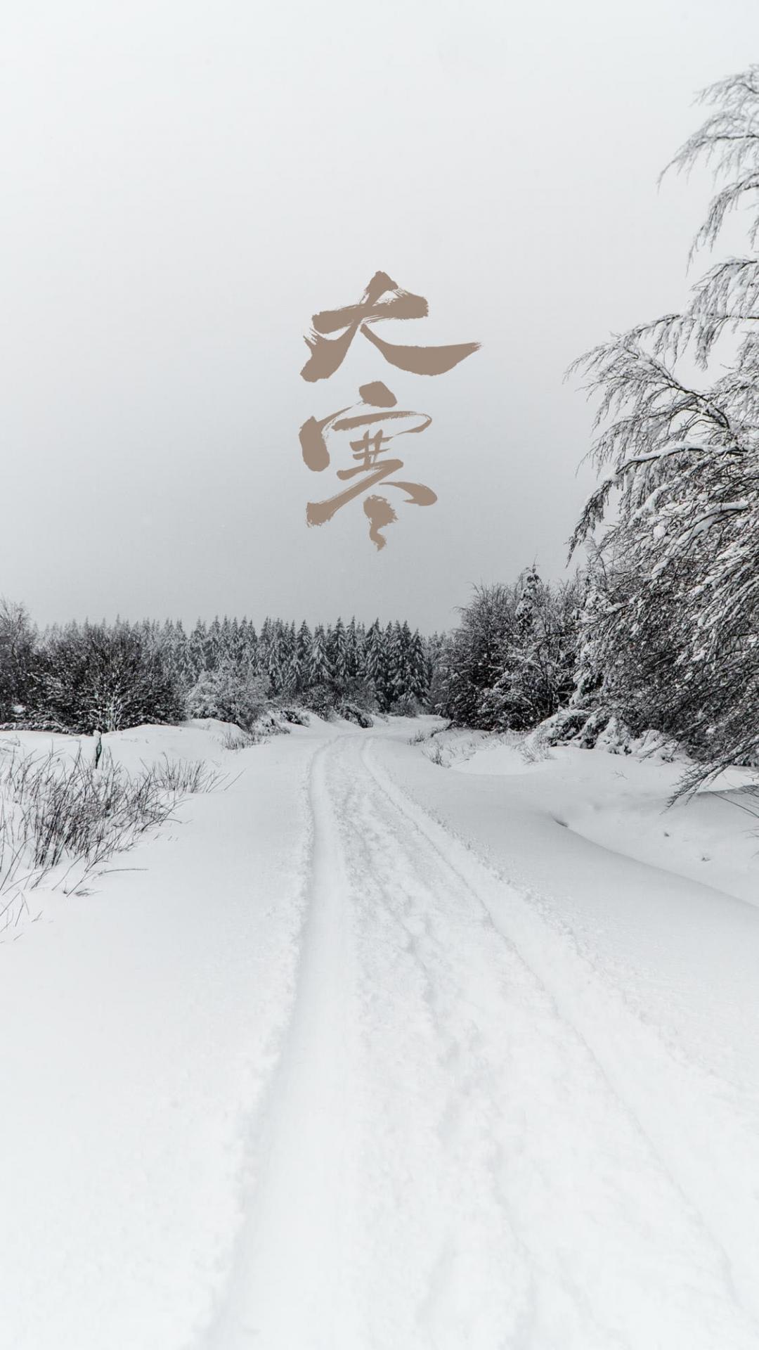 大寒时节之雪花雪景手机壁纸