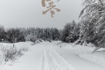 Snowflakes and snow scene mobile wallpaper in the cold season
