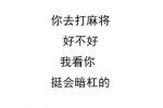 你去打麻将，好不好，我看你挺会暗杠的