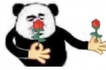 Panda head holding rose emoticon pack