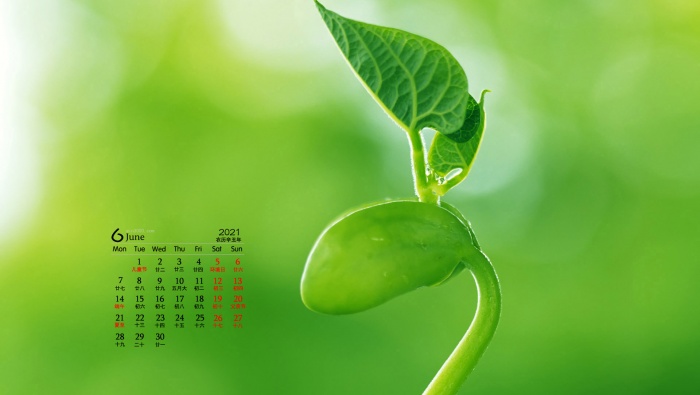 2021年6月保护视力高清桌面日历壁纸
