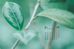 2022年4月護眼綠色桌麵日曆壁紙