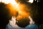 Swamp scenery pictures wallpaper