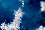 Snowflake scenery picture wallpaper of Xiaohan solar term