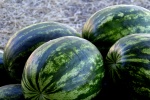 Watermelon photography material picture desktop wallpaper