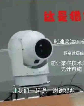 Cheetah camera expression pack