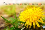 March 2022 yellow flowers fresh desktop calendar wallpaper