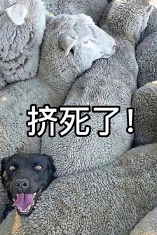 隔空投遞擠地鐵必備表情包