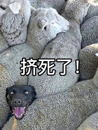 隔空投递挤地铁必备表情包