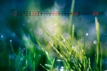 May 2022 Beginning of Summer Desktop Calendar Wallpaper