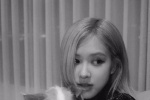 朴彩英黑白复古风手机壁纸