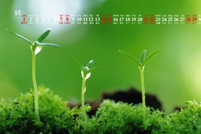 August 2021 green plant eye protection HD calendar wallpaper