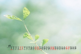 2021年6月绿色自然风景桌面日历壁纸