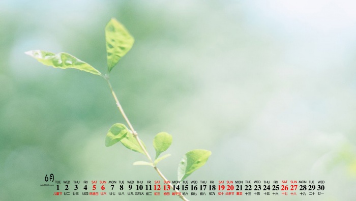 2021年6月绿色自然风景桌面日历壁纸