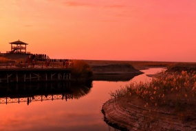 湿地公园晨曦美景图片桌面壁纸