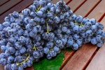 Purple grape photography material HD desktop wallpaper