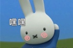 很可愛米菲兔表情包圖片