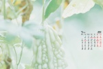 March 2022 elegant, simple and fresh desktop calendar wallpaper