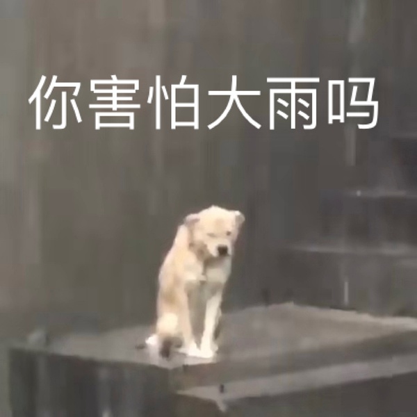 雨好大表情包