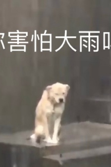 It’s raining so hard emoticon pack