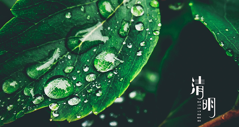 Qingming Festival mobile wallpaper