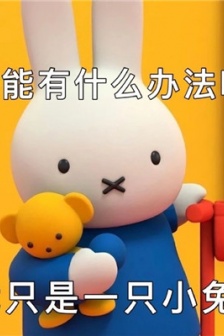 很萌很可爱米菲兔表情包图片