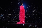 Li Yuchun cake red dress fashion stage photo